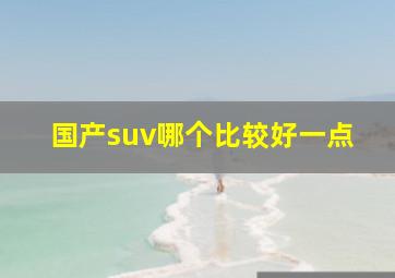 国产suv哪个比较好一点