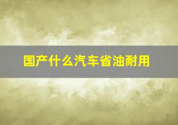 国产什么汽车省油耐用