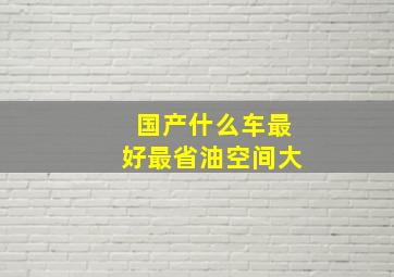 国产什么车最好最省油空间大