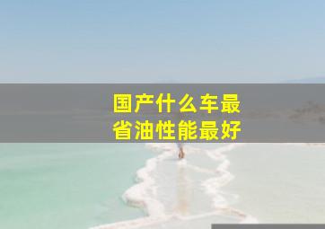 国产什么车最省油性能最好