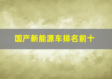 国产新能源车排名前十