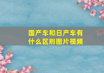 国产车和日产车有什么区别图片视频