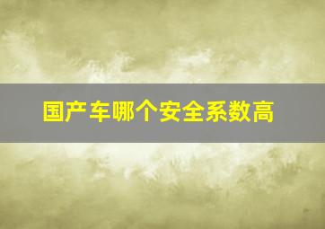 国产车哪个安全系数高