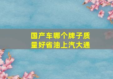 国产车哪个牌子质量好省油上汽大通