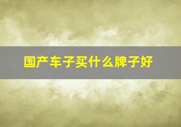 国产车子买什么牌子好