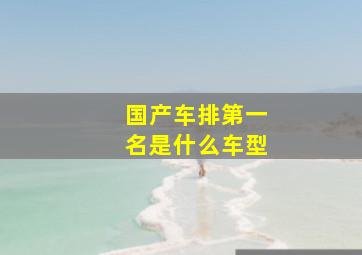 国产车排第一名是什么车型