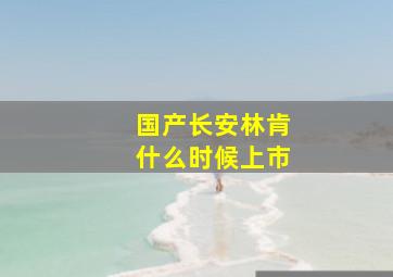 国产长安林肯什么时候上市