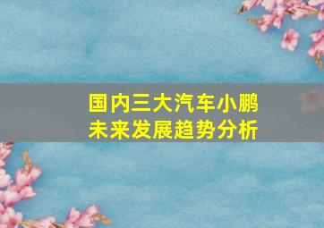 国内三大汽车小鹏未来发展趋势分析