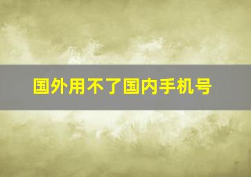 国外用不了国内手机号