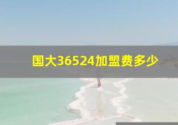 国大36524加盟费多少