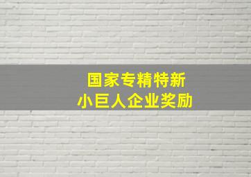 国家专精特新小巨人企业奖励