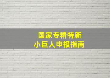 国家专精特新小巨人申报指南