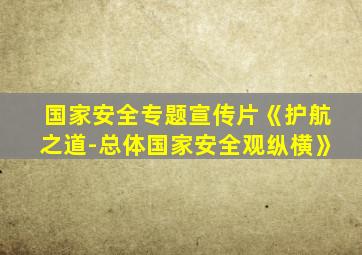 国家安全专题宣传片《护航之道-总体国家安全观纵横》