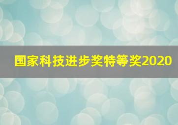 国家科技进步奖特等奖2020