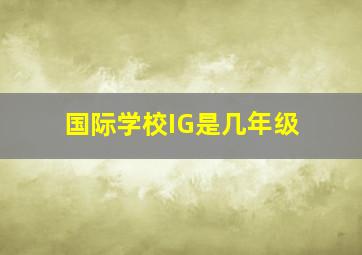 国际学校IG是几年级