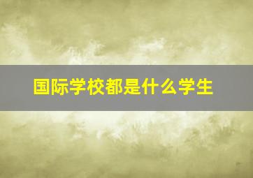 国际学校都是什么学生