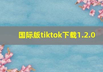 国际版tiktok下载1.2.0