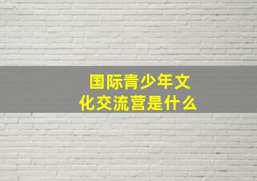 国际青少年文化交流营是什么