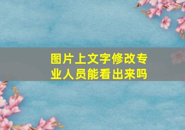 图片上文字修改专业人员能看出来吗