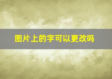 图片上的字可以更改吗