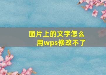 图片上的文字怎么用wps修改不了