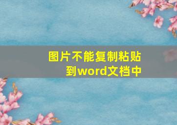 图片不能复制粘贴到word文档中