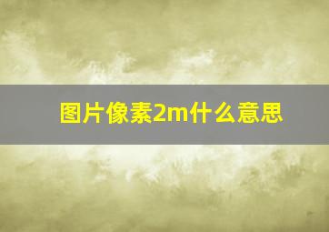 图片像素2m什么意思