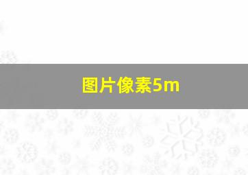 图片像素5m