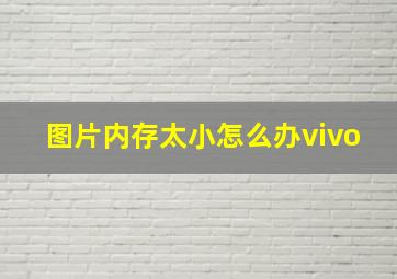 图片内存太小怎么办vivo