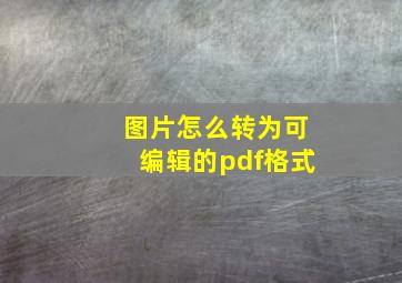 图片怎么转为可编辑的pdf格式