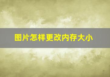 图片怎样更改内存大小