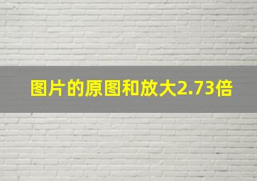 图片的原图和放大2.73倍