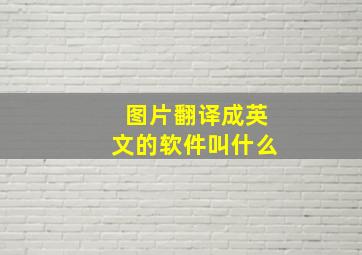 图片翻译成英文的软件叫什么