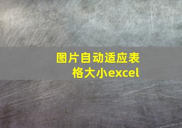 图片自动适应表格大小excel