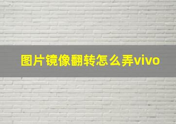 图片镜像翻转怎么弄vivo