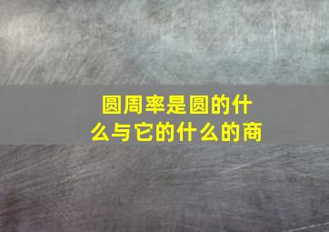 圆周率是圆的什么与它的什么的商