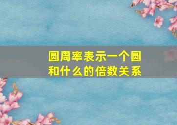 圆周率表示一个圆和什么的倍数关系