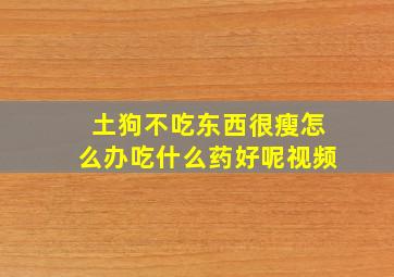 土狗不吃东西很瘦怎么办吃什么药好呢视频