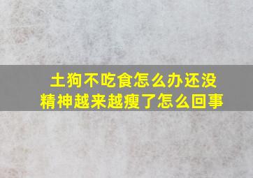 土狗不吃食怎么办还没精神越来越瘦了怎么回事