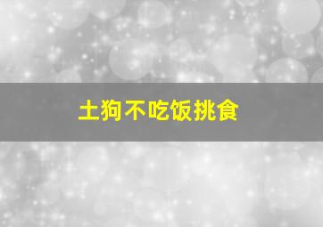 土狗不吃饭挑食