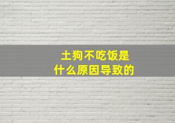 土狗不吃饭是什么原因导致的