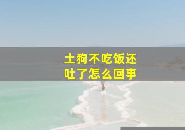 土狗不吃饭还吐了怎么回事