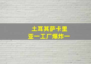 土耳其萨卡里亚一工厂爆炸一