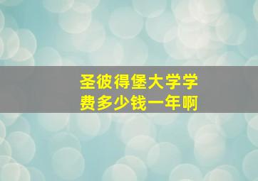 圣彼得堡大学学费多少钱一年啊