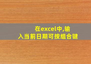 在excel中,输入当前日期可按组合键