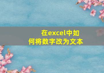 在excel中如何将数字改为文本