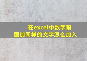 在excel中数字前面加同样的文字怎么加入