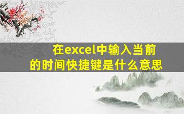 在excel中输入当前的时间快捷键是什么意思