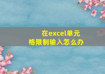 在excel单元格限制输入怎么办