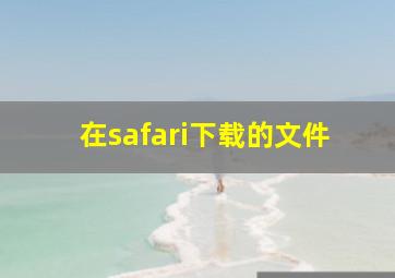 在safari下载的文件